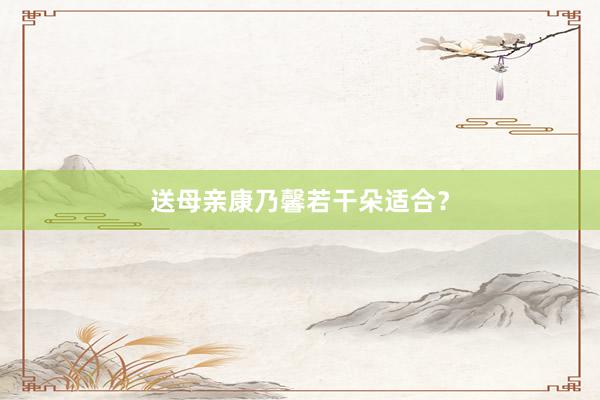 送母亲康乃馨若干朵适合？