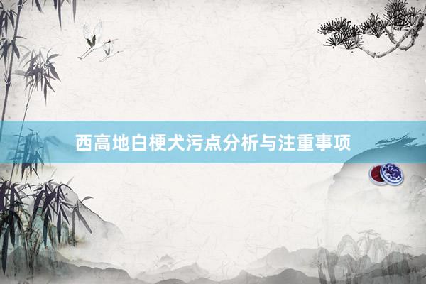 西高地白梗犬污点分析与注重事项