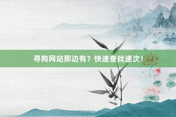 寻狗网站那边有？快速查找递次！